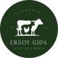 Ersoy Gurme - Home